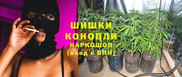 сатива Алзамай