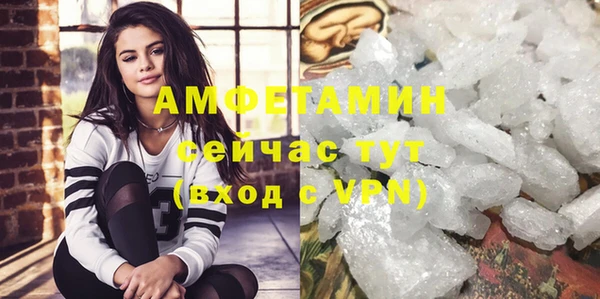 сатива Алзамай