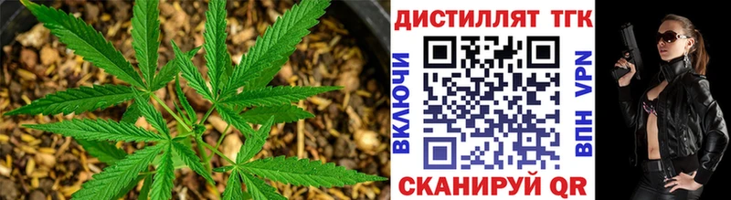 кракен ссылки  мориарти наркотические препараты  ТГК вейп с тгк  Мыски 
